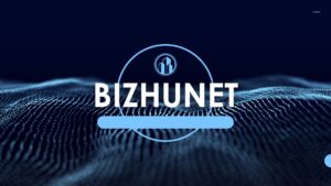 Bizhunet